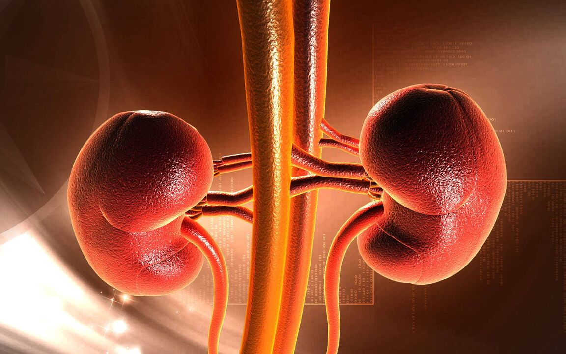 Increased blood sugar can cause kidney failure